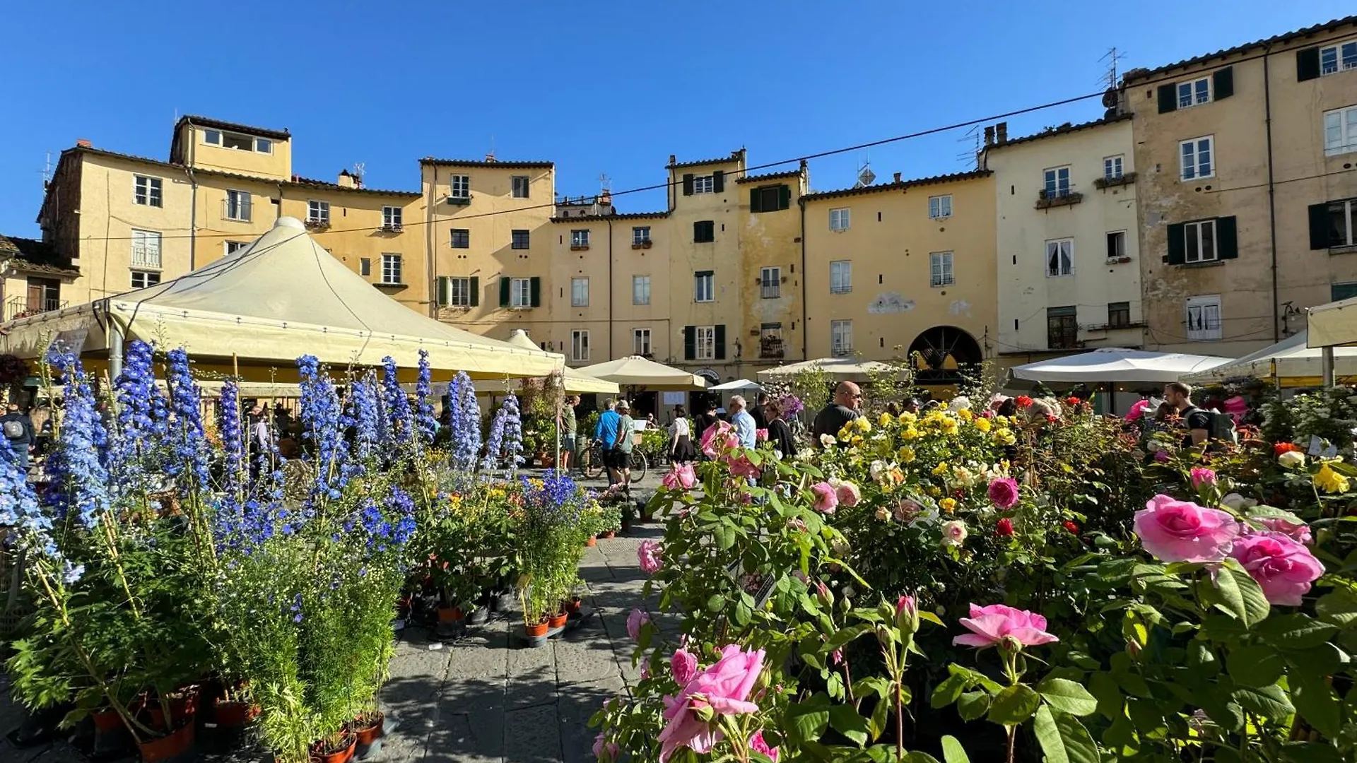 Casina Bella Di Lucca Apartamento